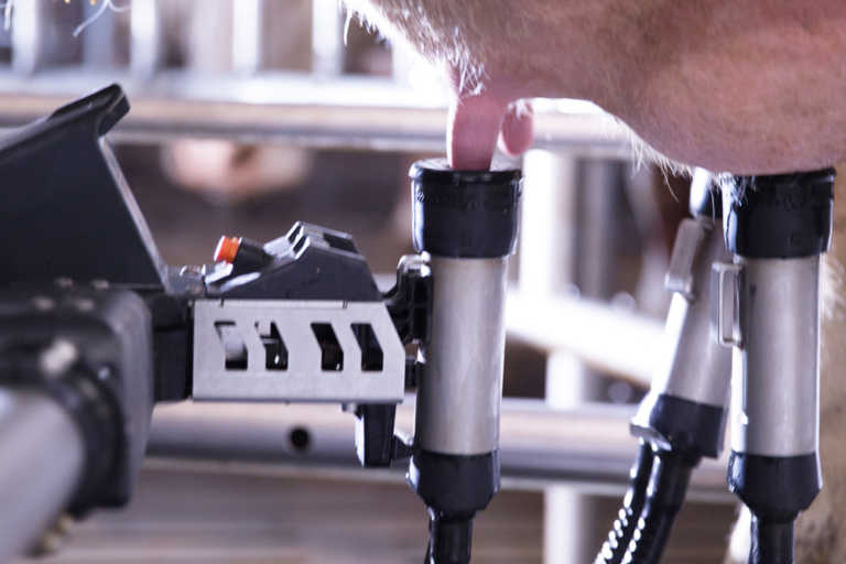 delaval-un-nouveau-robot-de-traite-plus-efficace-farm-connexion