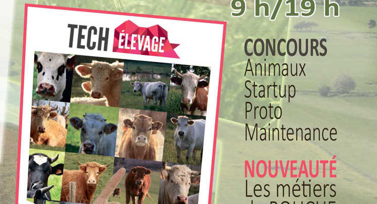 Exemple d’un profil de rencontre en ligne attrayant