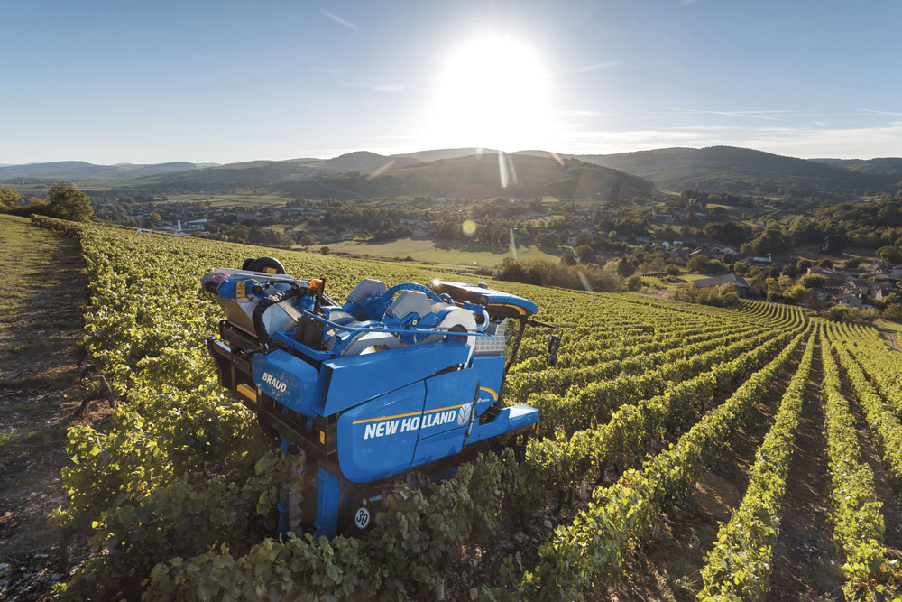 Un nouveau système de secouage pour vignes étroites