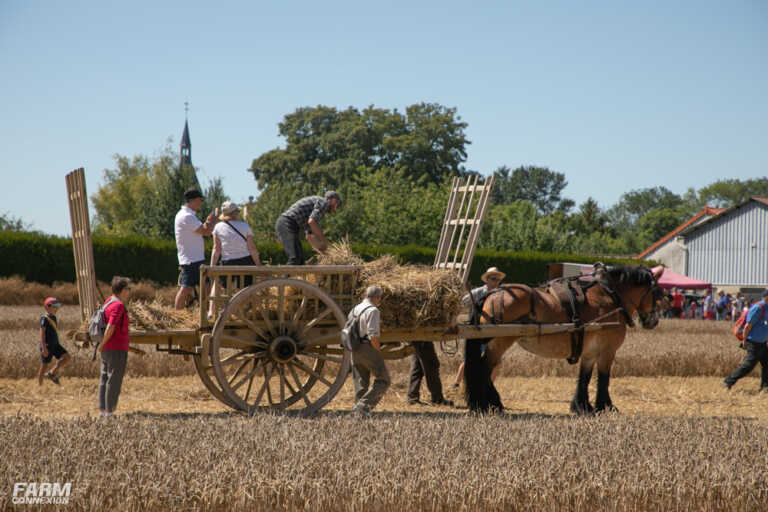 Fete Des Moissons Saint Remy Sur Bussy