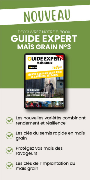 2023 / 03 / Data Pro Solutions – Ebook maïs (300×600)